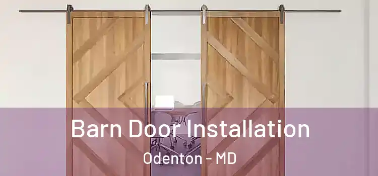  Barn Door Installation Odenton - MD