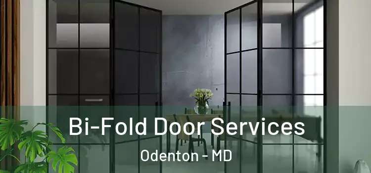 Bi-Fold Door Services Odenton - MD