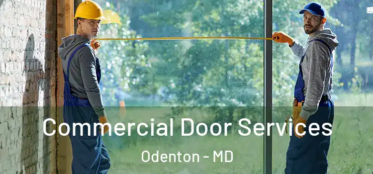 Commercial Door Services Odenton - MD