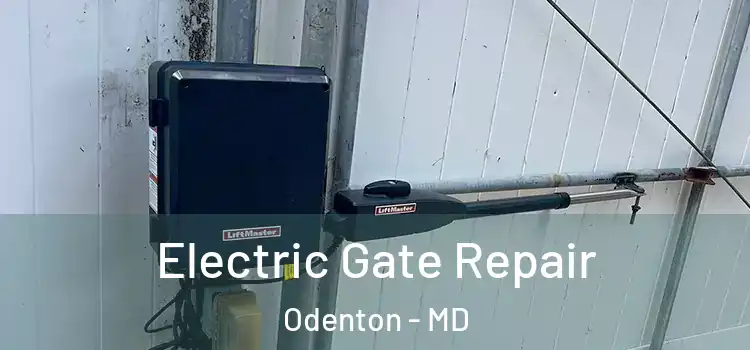 Electric Gate Repair Odenton - MD