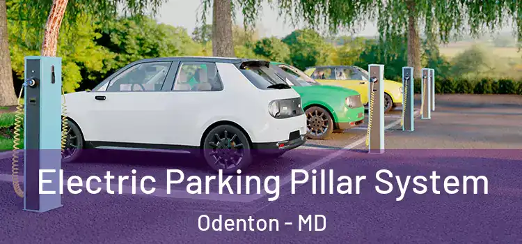 Electric Parking Pillar System Odenton - MD