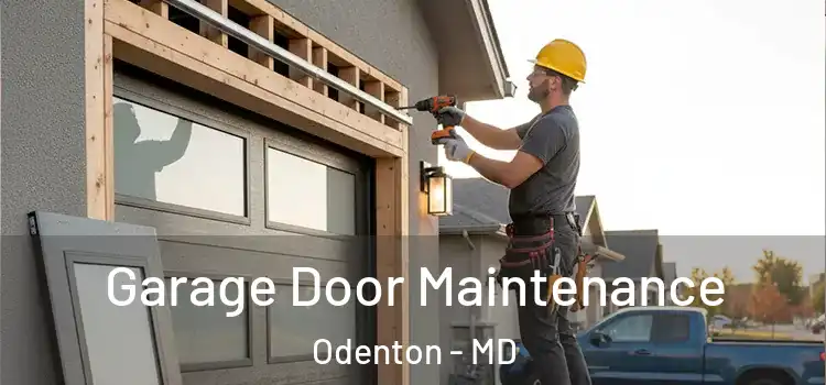 Garage Door Maintenance Odenton - MD