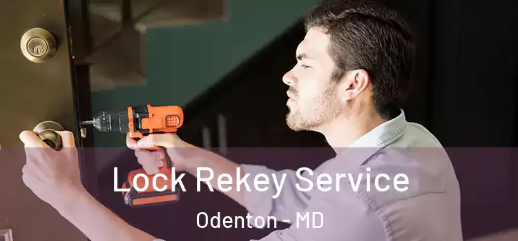 Lock Rekey Service Odenton - MD
